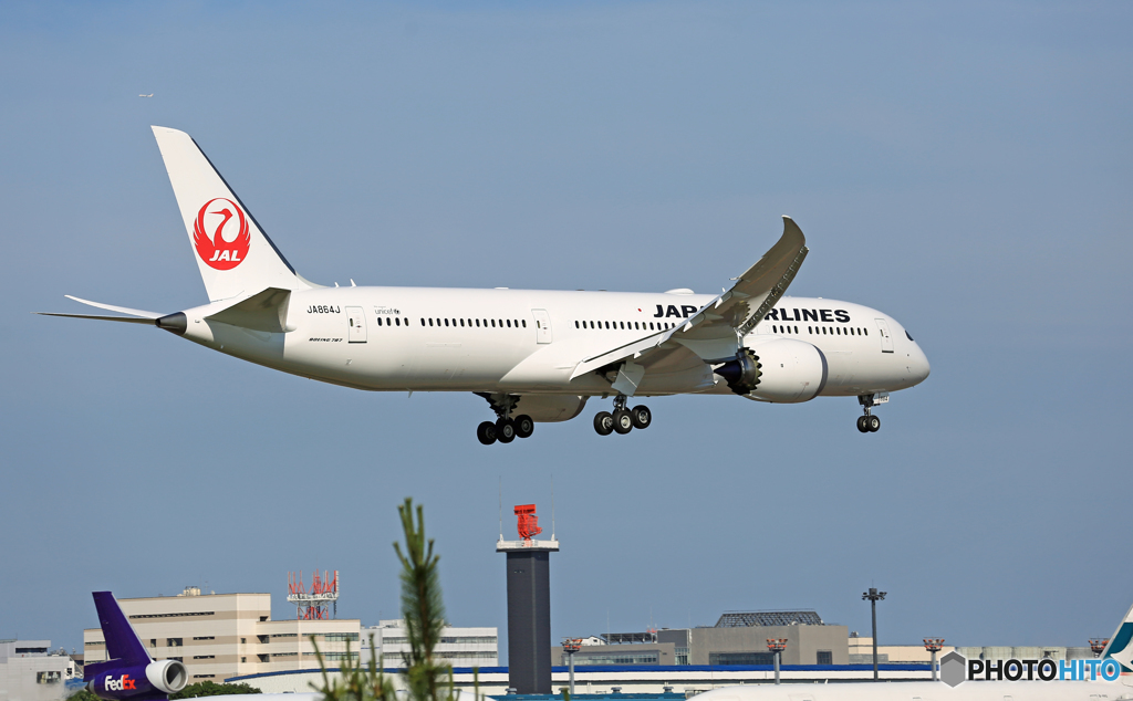 [青空]JAL 787-9 JA864J