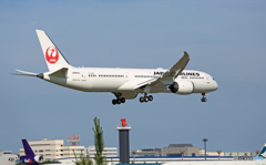 [青空]JAL 787-9 JA864J