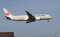 JAL 787-8 着陸　
