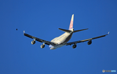 「青空」+「鳥」CHINA 747-400 B-18208ジャンボ保存委員会