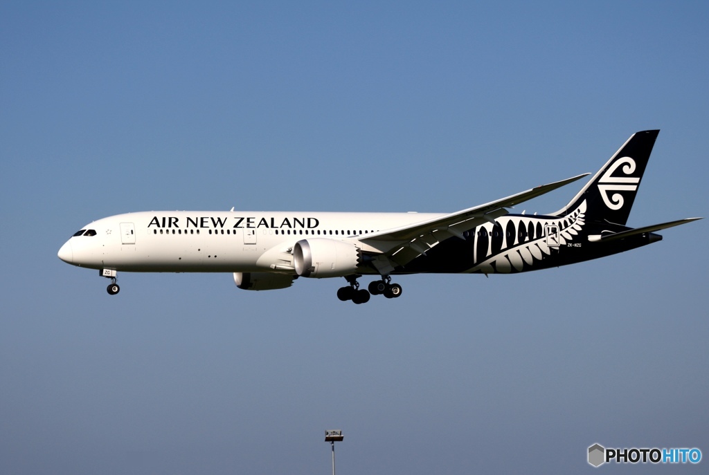 Air New Zealand 787-9  到着　