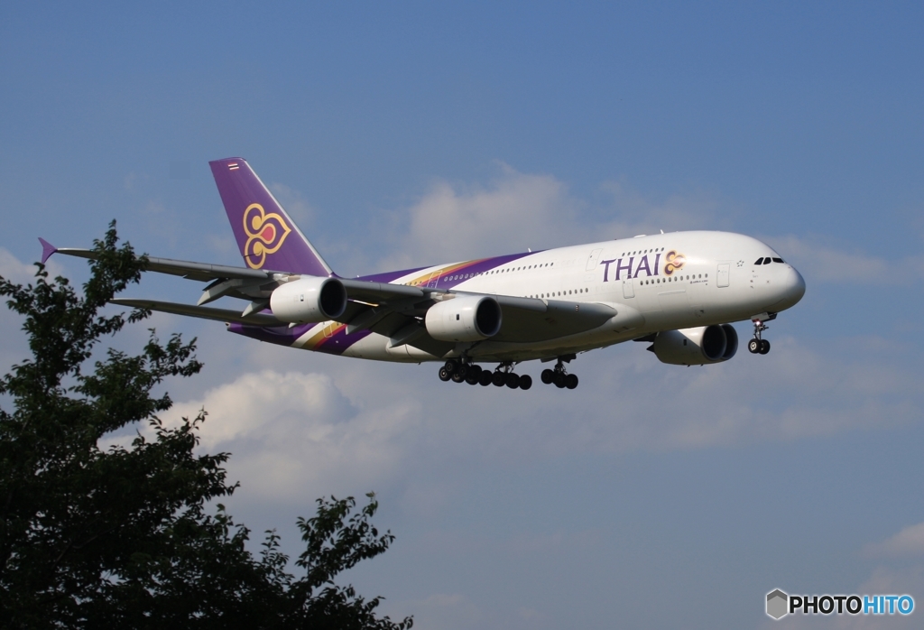 到着　THAI A380-841