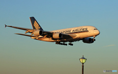 着陸 Singapore A380-841 9V-SKP