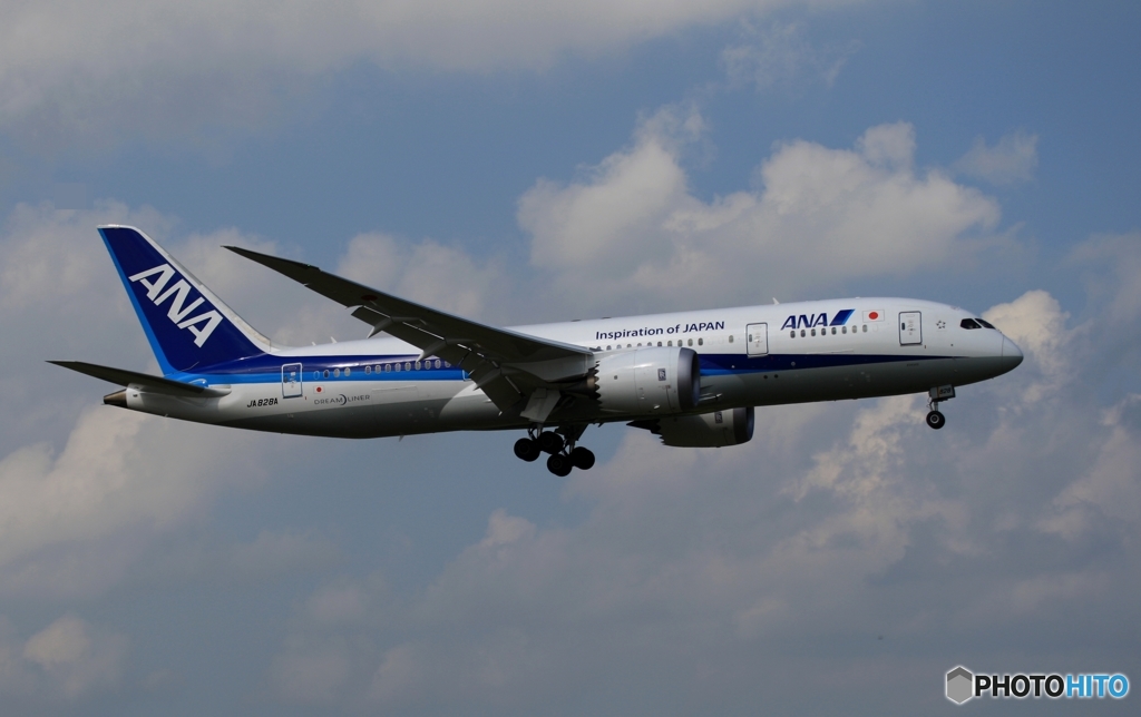 ANA 787-8 着陸　