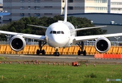 JAL 787-8 JA841J 出発　