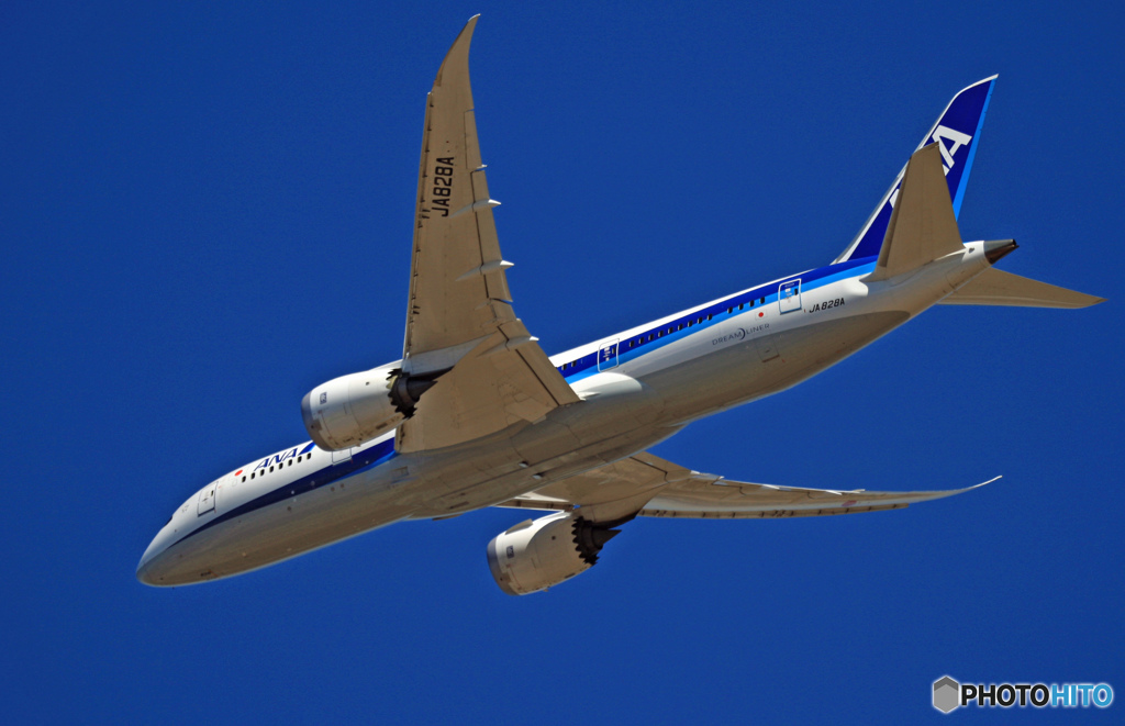 ANA 787-8 JA828A 離陸 
