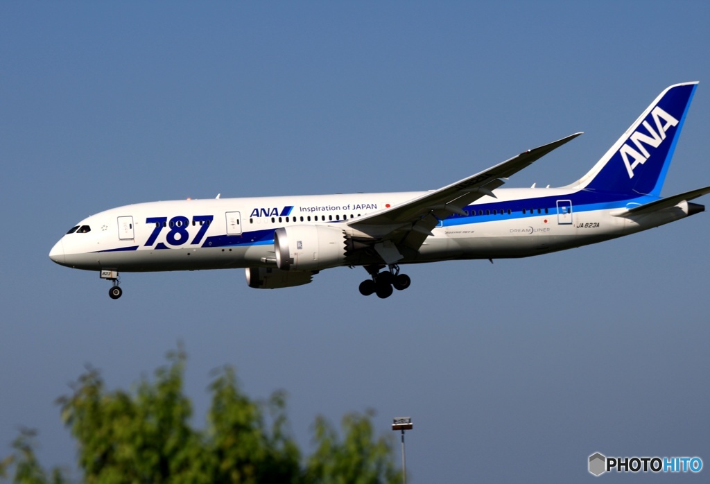ANA 787-8 着陸　