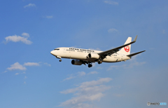 「青い空」が一番 JAL 737-800 JA303J