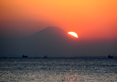 次の日は、あら～こんなでした？