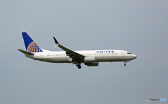 United 737-800 SIM N39297到着  　