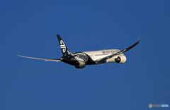 ✈Air New Zealand☮ B787-9 ZK-NZG✈