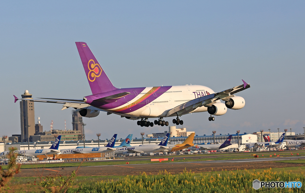 「青い空」 THAI A380-841 HS-TUA