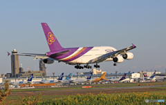 「青い空」 THAI A380-841 HS-TUA