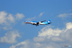 「空色」　Air Tahiti Nui A340-313 