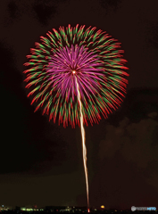 ☮休憩ﾀｲﾑ(400)　ビーチ花火（20）