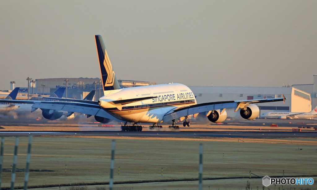  Singapore A380-841 9V-SKP 着陸 