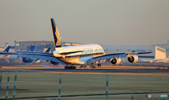  Singapore A380-841 9V-SKP 着陸 