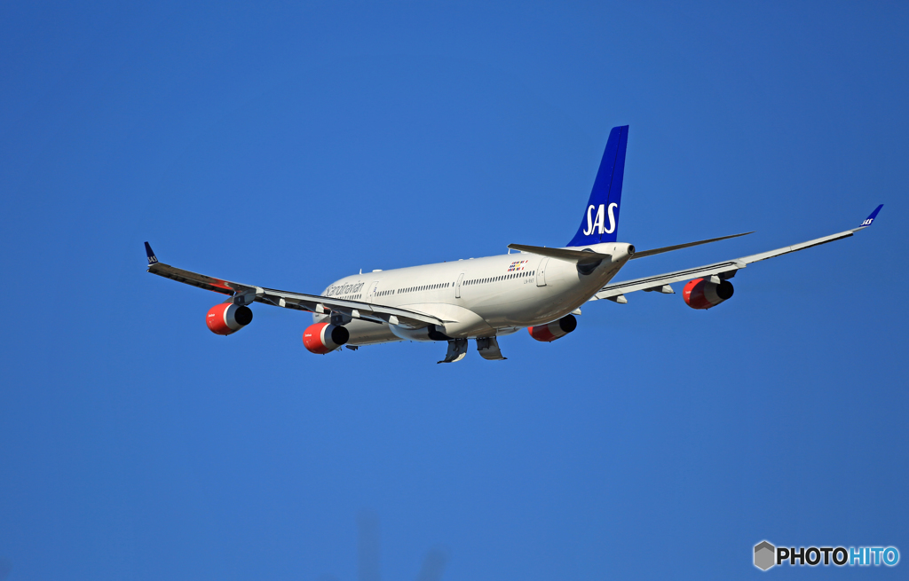 「青空」　SAS A340-313 LN-RKF 離陸