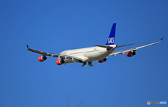 「青空」　SAS A340-313 LN-RKF 離陸