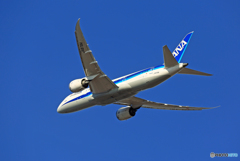 「空色」 ANA 787-8 JA878A