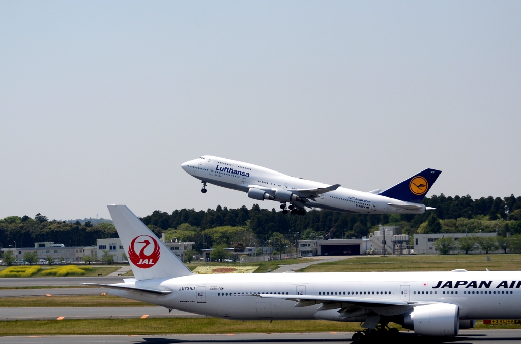Lufthansa 747-400 & 　JAL　JA735J
