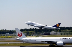 Lufthansa 747-400 &  JAL JA735J Lufthansa 747-400 &  JAL JA735J