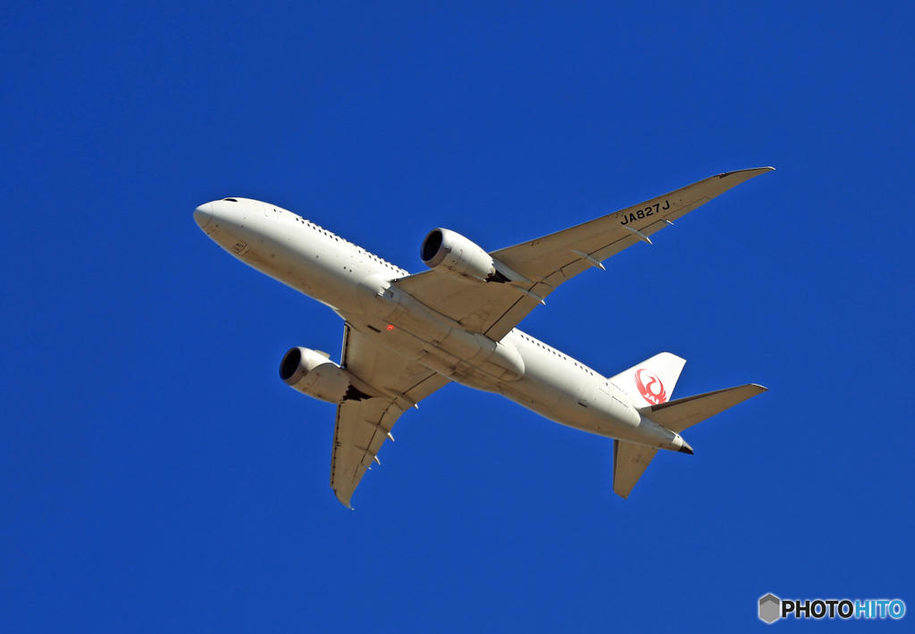 「青空」　JAL 787-8 JA827J 離陸