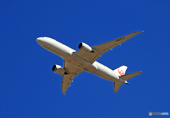 「青空」　JAL 787-8 JA827J 離陸