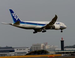 到着　ANA 787-8 　