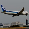 到着　ANA 787-8 　