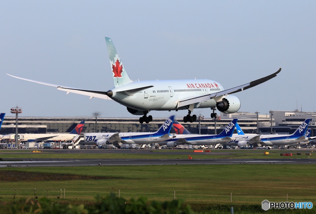 到着 AIR CANADA 787-8
