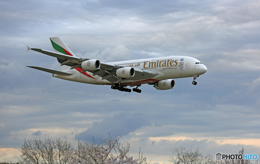 「スカイ」 Emirates A380-861 A6-EDE 到着