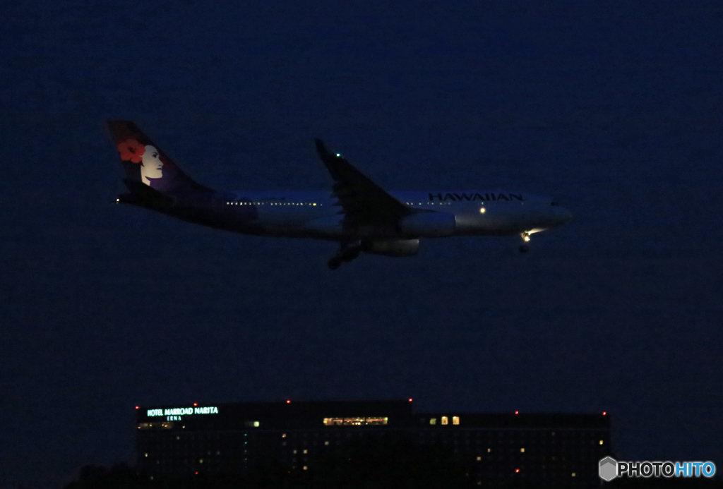 暗いね 見える？HAWAIAN A330-200 到着
