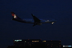暗いね 見える?HAWAIAN A330-200 到着 暗いね 見える?HAWAIAN A330-200 到着