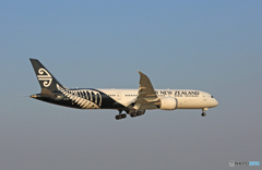 「スカイ」Air New Zealand B787-9 ZK-NZC着地前 「スカイ」Air New Zealand B787-9 ZK-NZC着地前