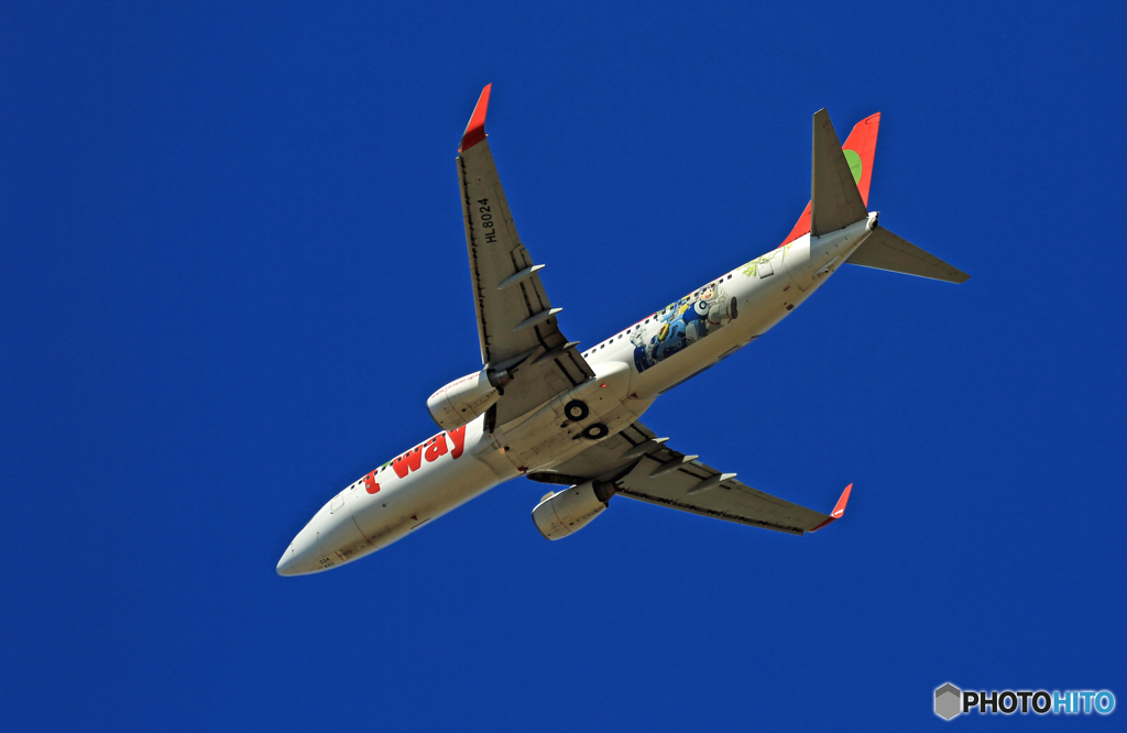 「SKY」☀ t'way 737-800 HL8024