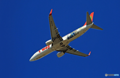 「SKY」☀ t'way 737-800 HL8024