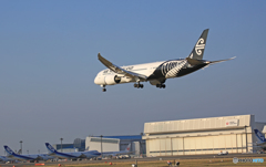 到着 Air New Zealand B787-9 ZK-NZC　