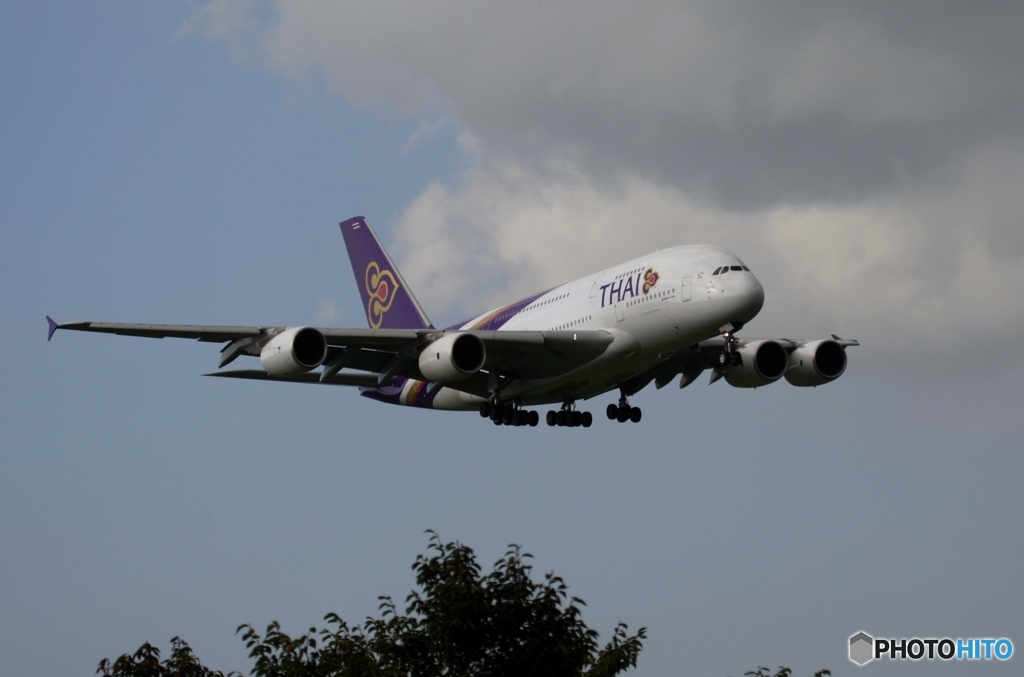 到着　THAI A380-841 