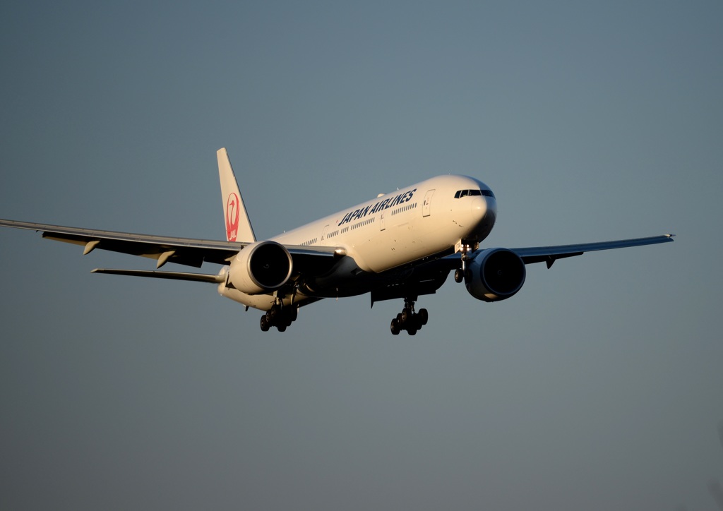 JAL 777-346 到着