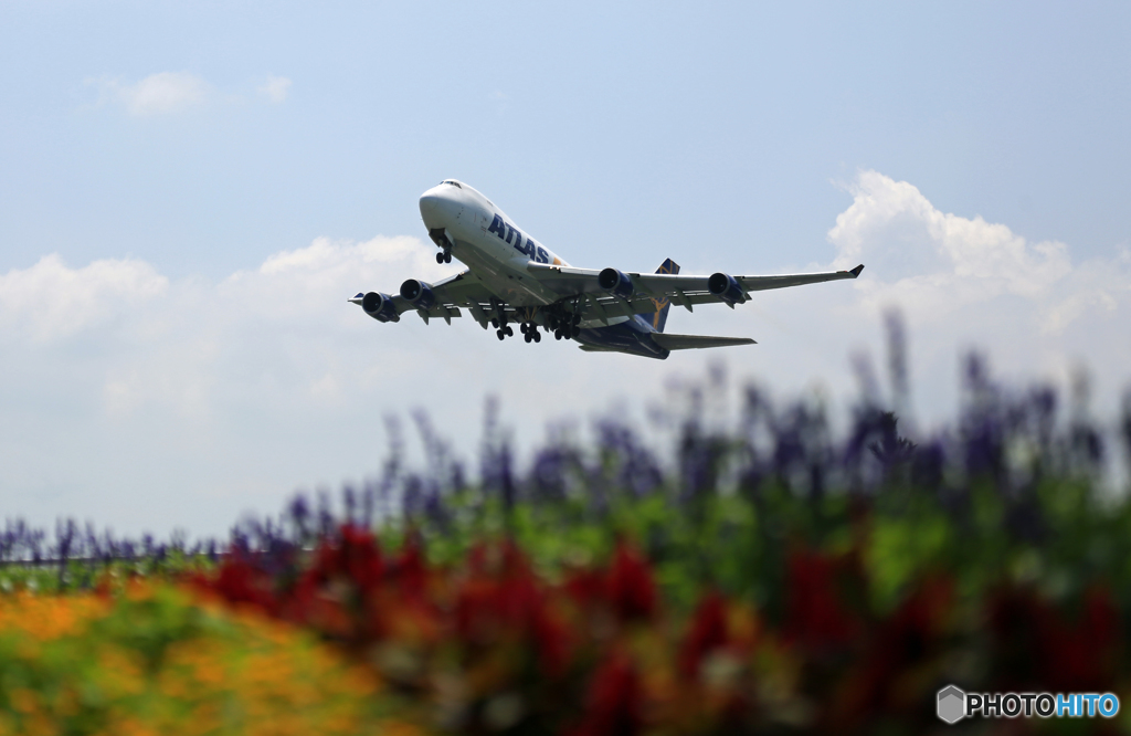 「花」と...「７４７ジャンボ機」　