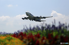 「花」と...「７４７ジャンボ機」　