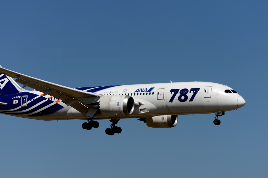 ANA 787-8 着陸