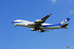 「ぶるー」 NCA 747-400F JA06KZ 離陸
