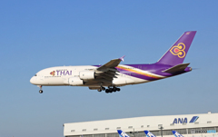 到着 THAI A380-841 HS-TUA