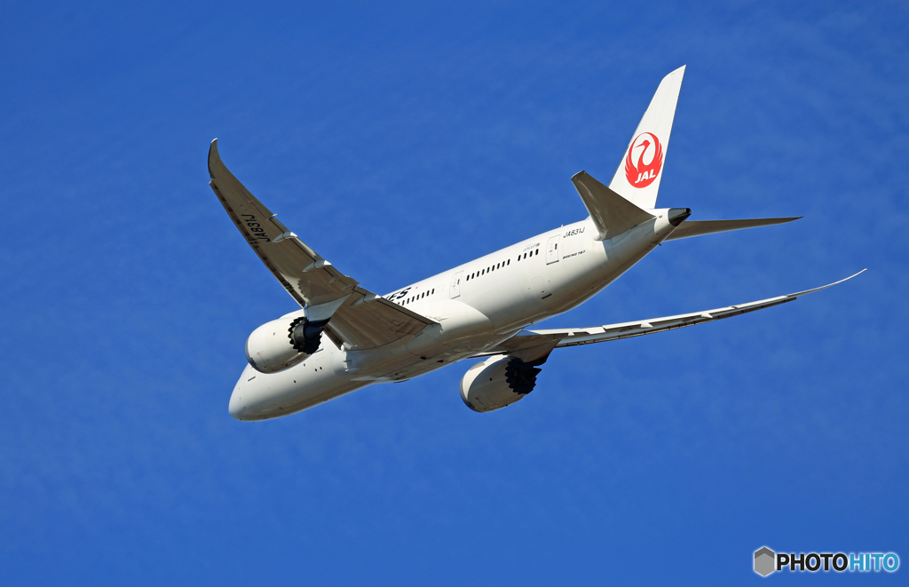 ☀JAL 787-8 JA831J出発 