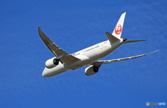 ☀JAL 787-8 JA831J出発 