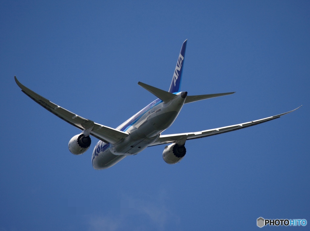 ANA 787-8 離陸　