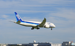 到着 ANA 787-8 JA874A