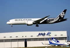 着地前  Air New Zealand 787-9 